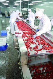 山東北大荒果蔬產(chǎn)品暢銷美歐等20多個(gè)國(guó)家和地區(qū)