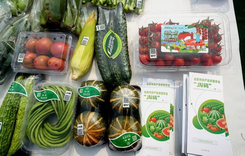 北京市優質農產品擁有數字身份證 茶葉種植的質量安全新保障